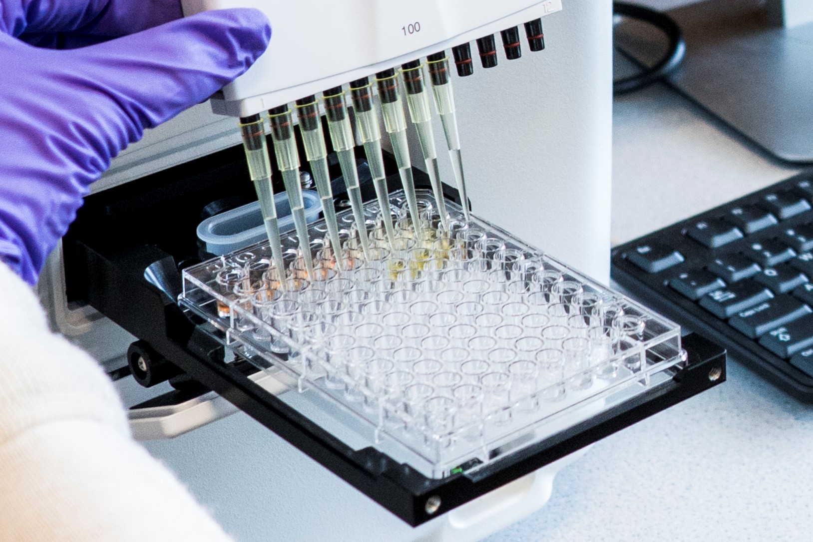 96 well plate preparation for sample analysis